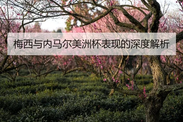 梅西与内马尔美洲杯表现的深度解析
