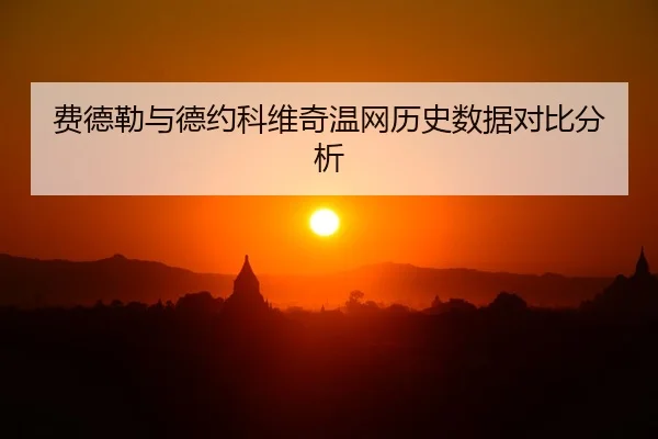 费德勒与德约科维奇温网历史数据对比分析