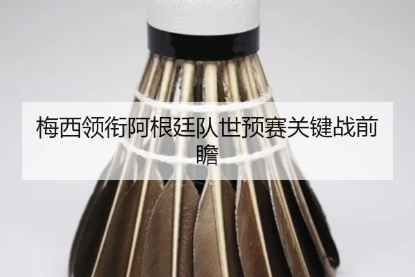 梅西领衔阿根廷队世预赛关键战前瞻